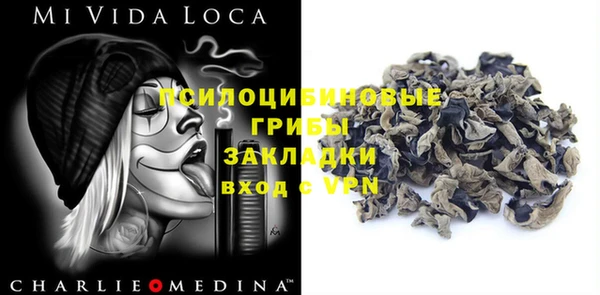 ПСИЛОЦИБИНОВЫЕ ГРИБЫ Верея