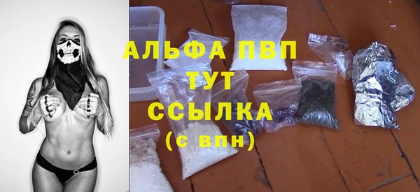 ПСИЛОЦИБИНОВЫЕ ГРИБЫ Верея