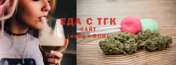 индика Верхний Тагил