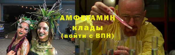 ПСИЛОЦИБИНОВЫЕ ГРИБЫ Верея