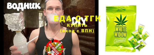 индика Верхний Тагил