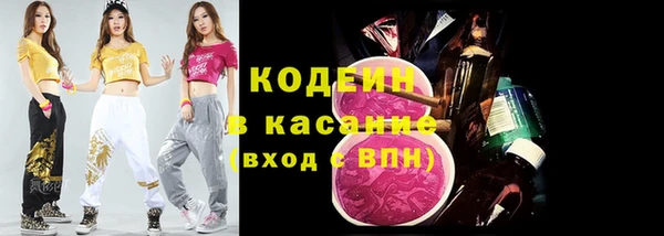 индика Верхний Тагил