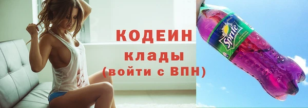 индика Верхний Тагил