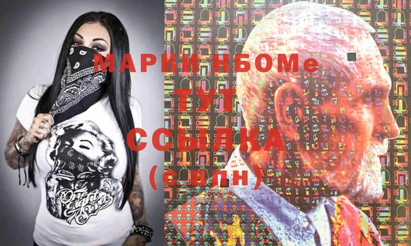 индика Верхний Тагил