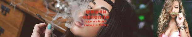 индика Верхний Тагил