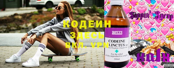 индика Верхний Тагил