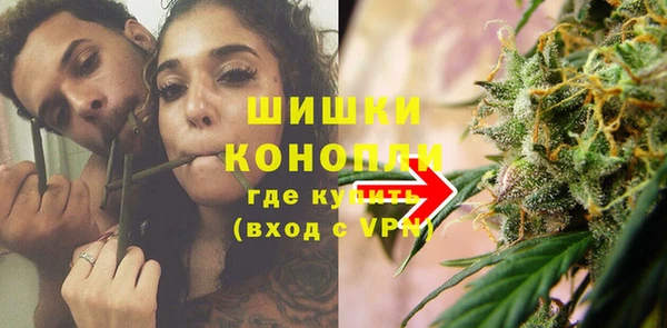 ПСИЛОЦИБИНОВЫЕ ГРИБЫ Верея