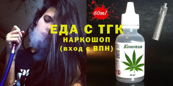 индика Верхний Тагил