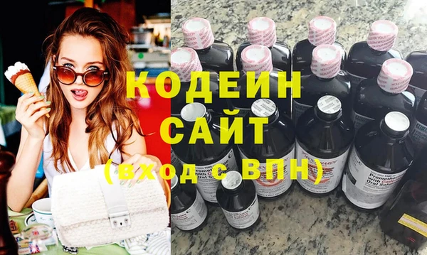 индика Верхний Тагил