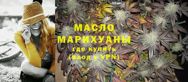 индика Верхний Тагил