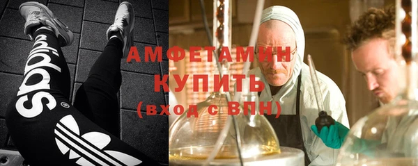 индика Верхний Тагил